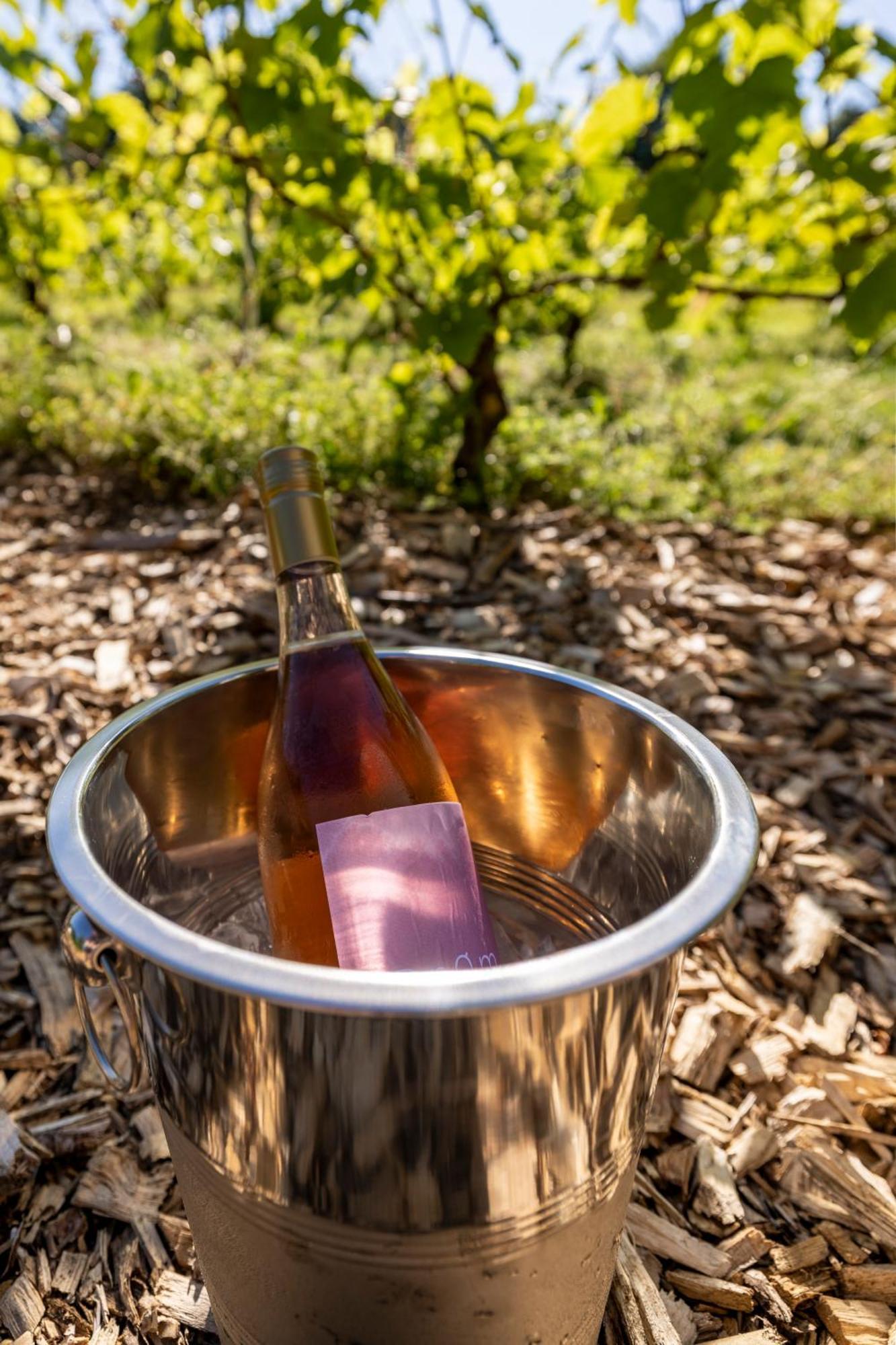 Отель Holmegaard Vin Og Glamping Dannemare Экстерьер фото